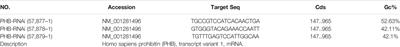 The Ethyl Acetate Extract From Celastrus orbiculatus Promotes Apoptosis of Gastric Cancer Cells Through Mitochondria Regulation by PHB